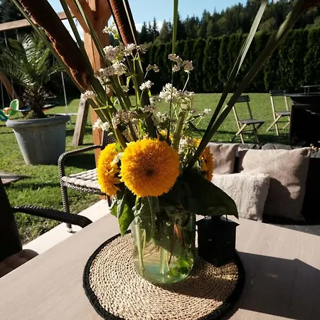 Kamp Nirvana * Smartno ob Dreti