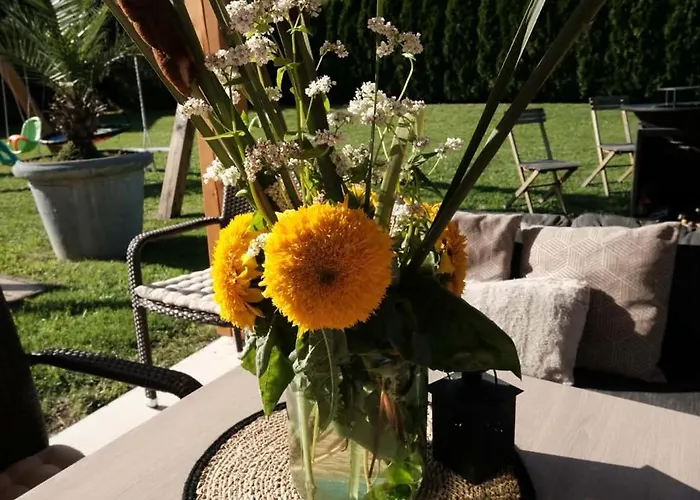 Kamp Nirvana * Smartno ob Dreti